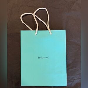 Tiffany & Co. Gift Bag